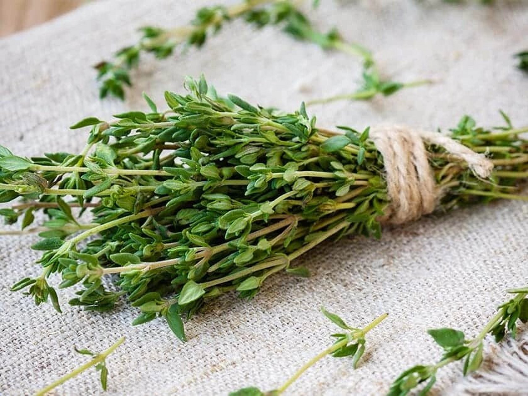 百里香精油：厨房香料居然还有这种作用？3种硬核打开方式