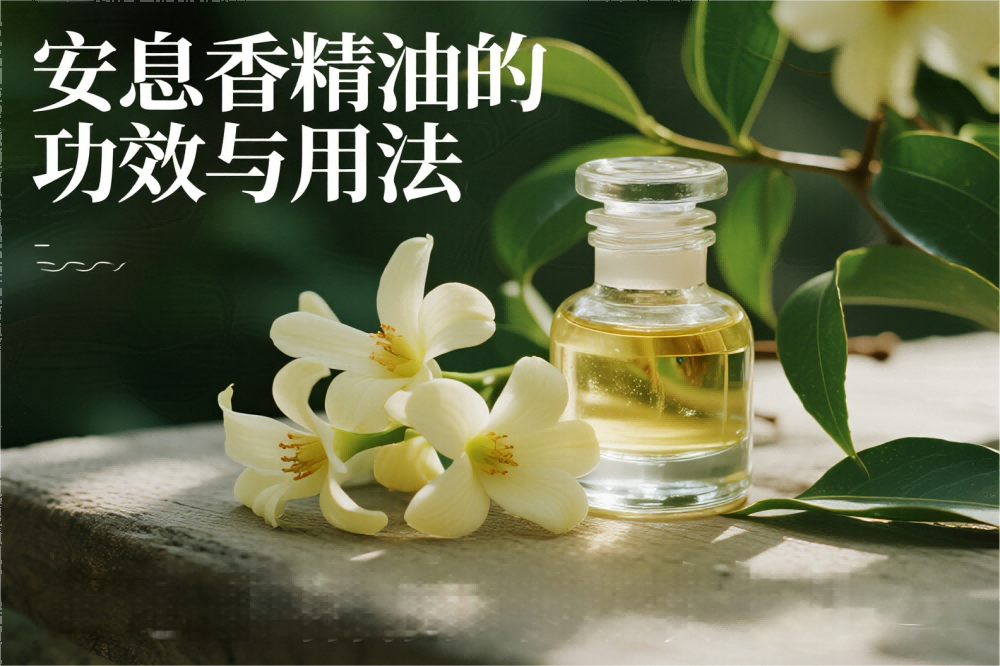 安息香的功效与用法.png