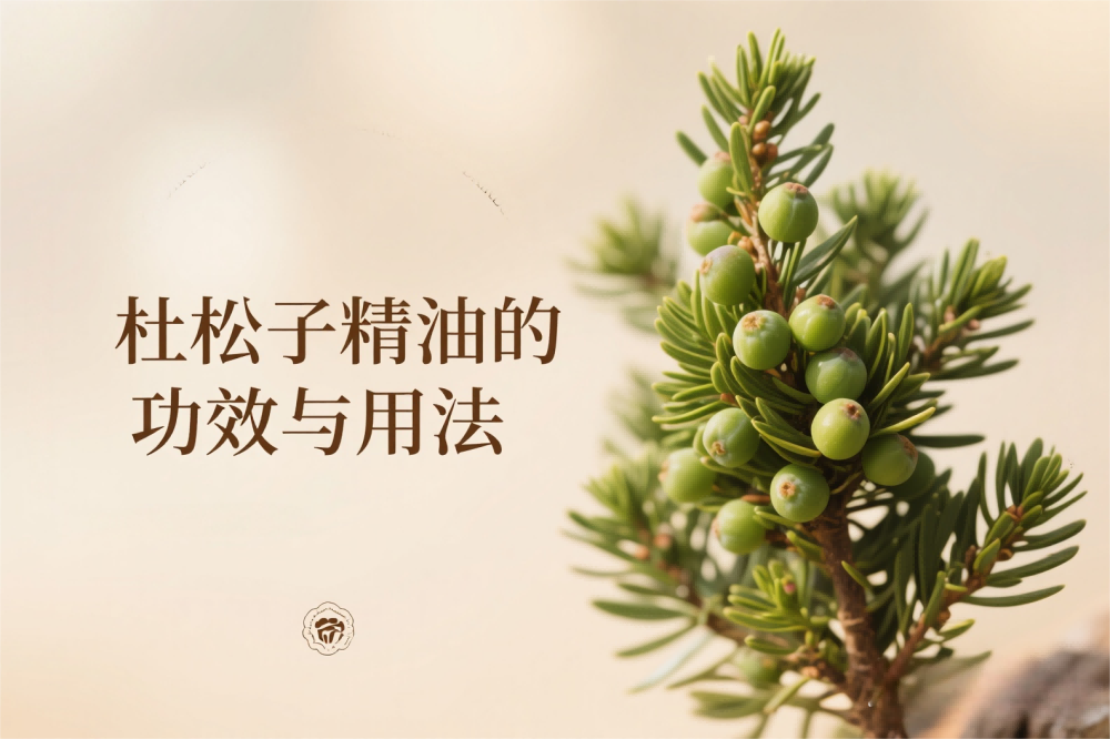杜松子精油的功效与用法