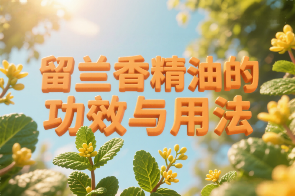 留兰香精油的功效与用法.png