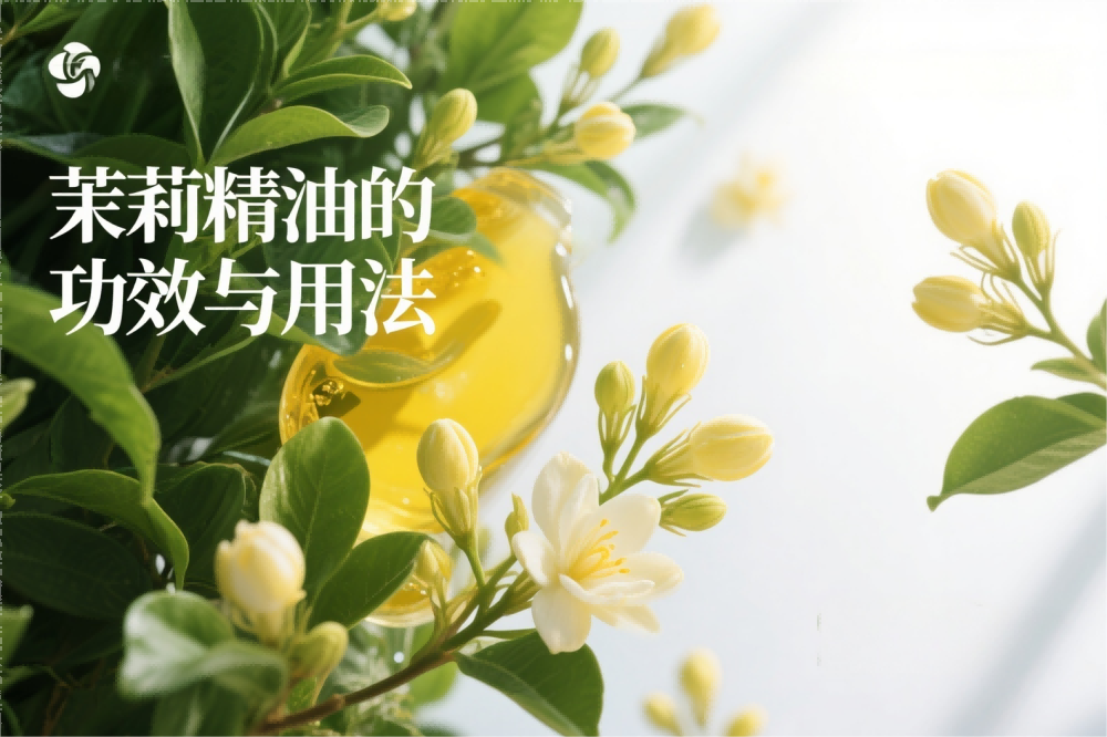 茉莉精油功效与用法.png