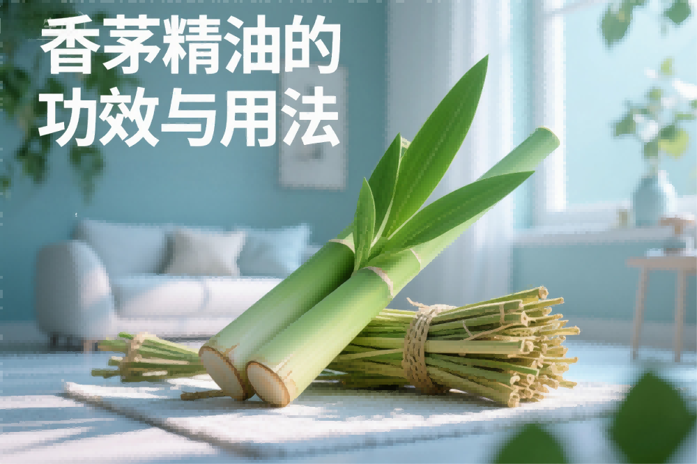 香茅精油的功效与用法.png