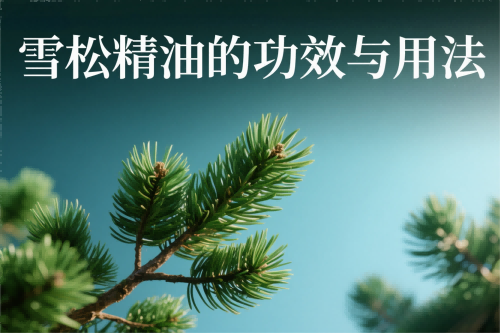 雪松精油的功效与用法.png